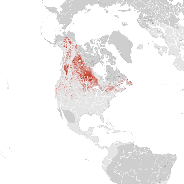 Abundance Map