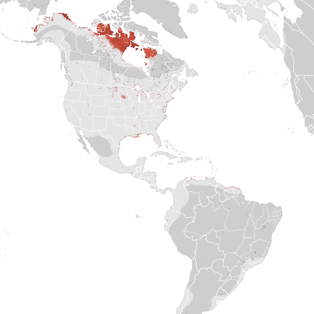 Abundance Map