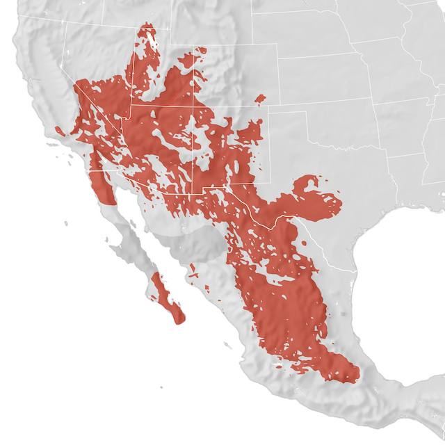 Range Map