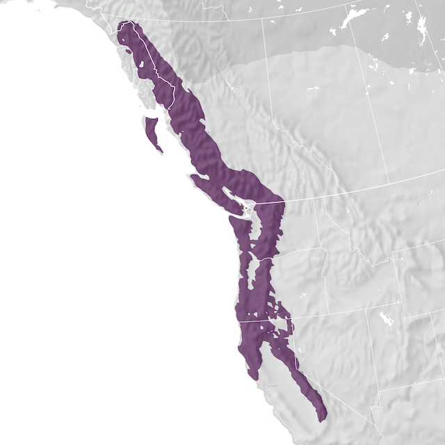 Range Map