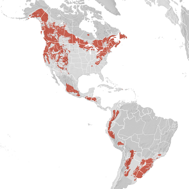 Range Map