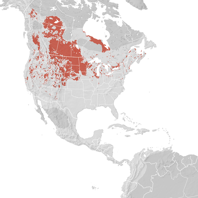 Range Map