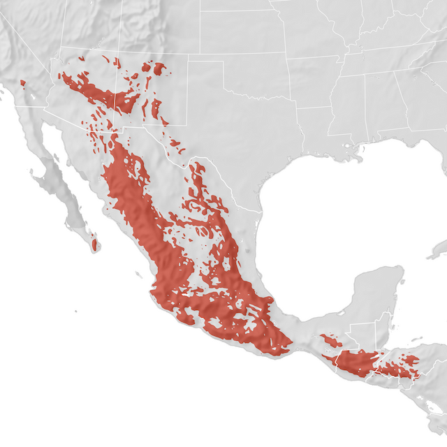 Range Map