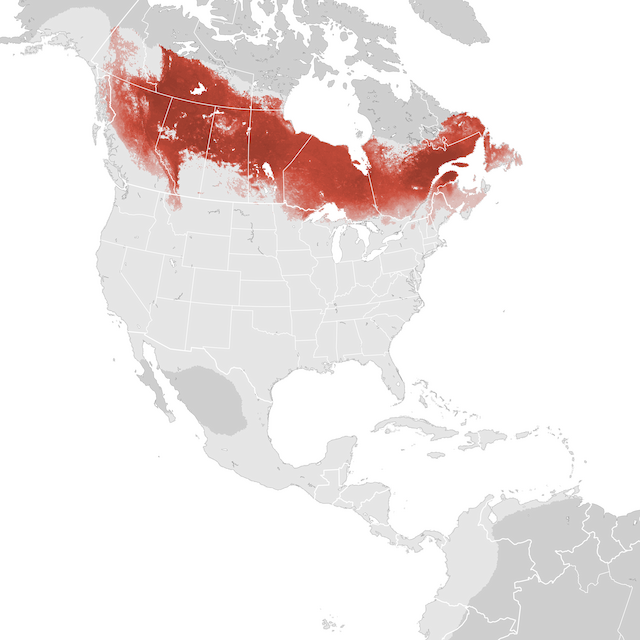 Abundance Map