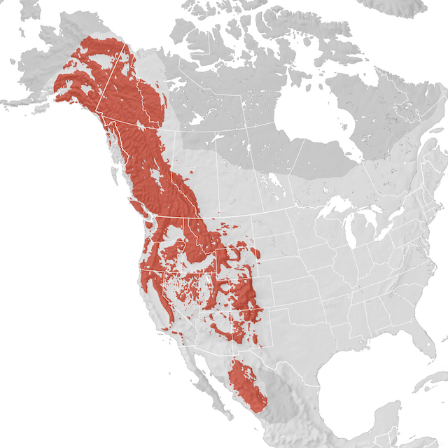 Range Map