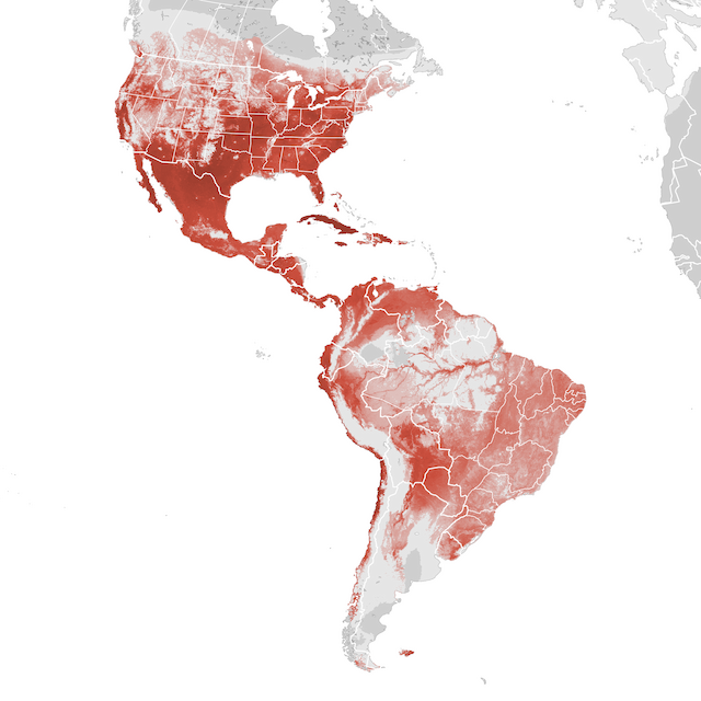 Abundance Map