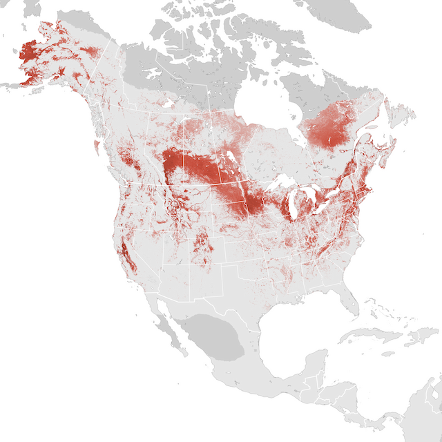 Abundance Map
