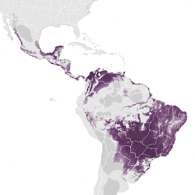 Abundance Map