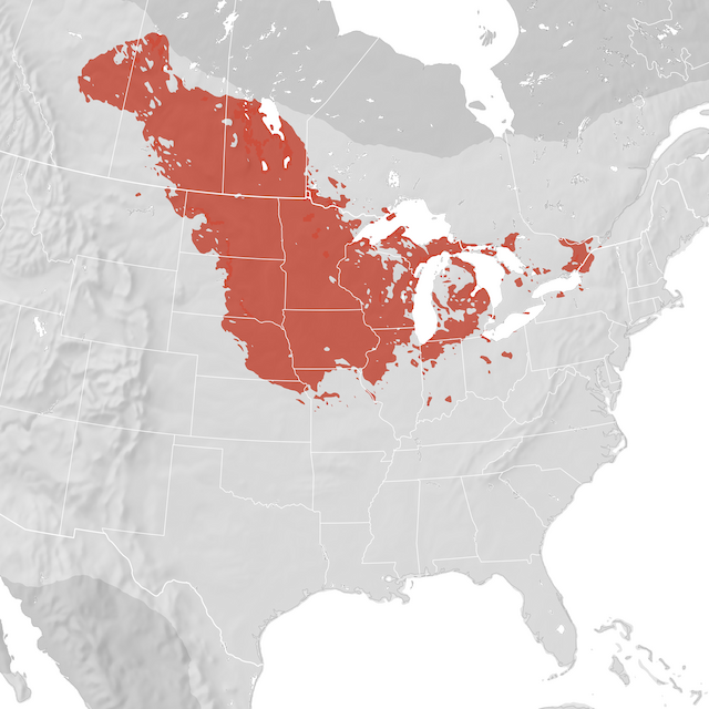 Range Map