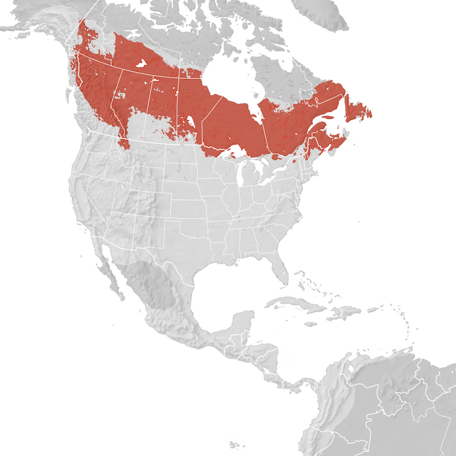 Range Map