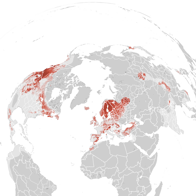 Abundance Map
