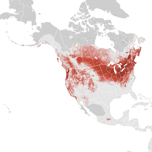Abundance Map