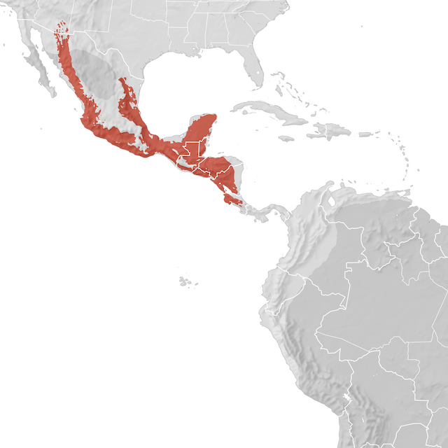 Range Map
