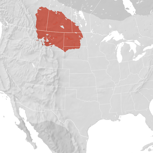 Range Map