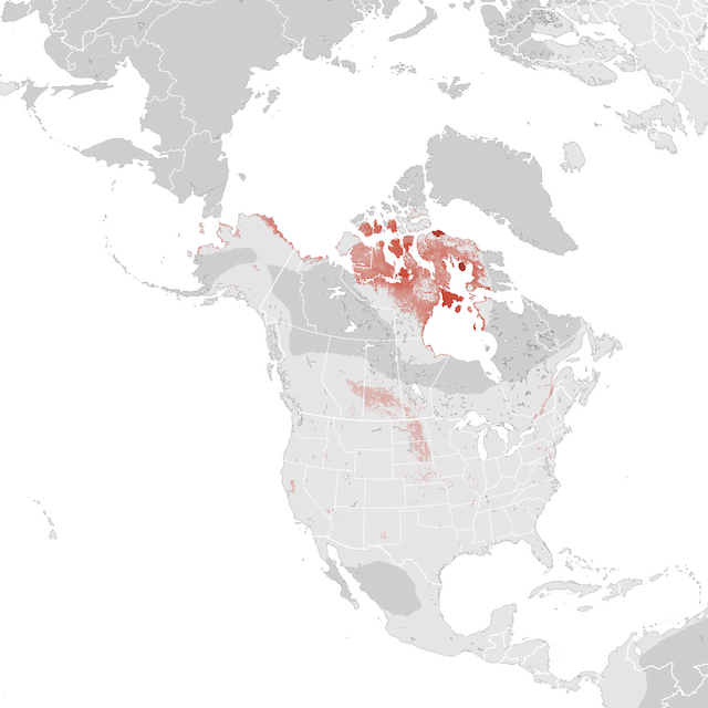 Abundance Map