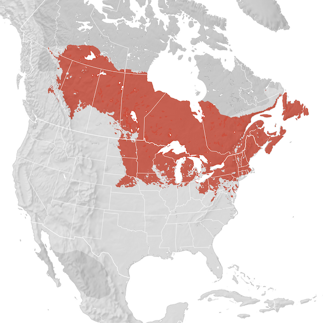 Range Map