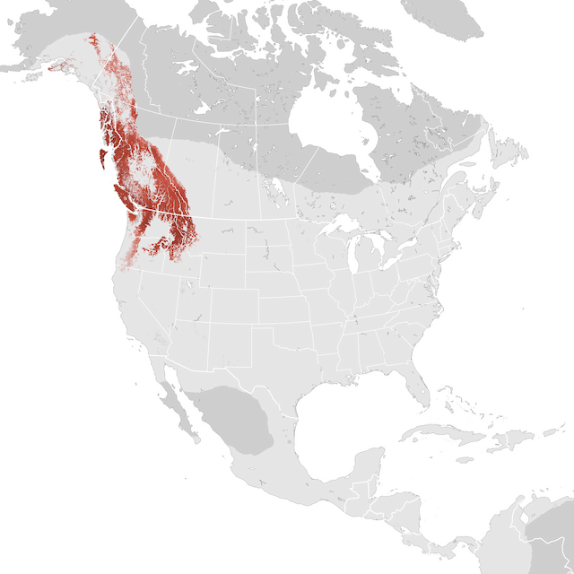 Abundance Map