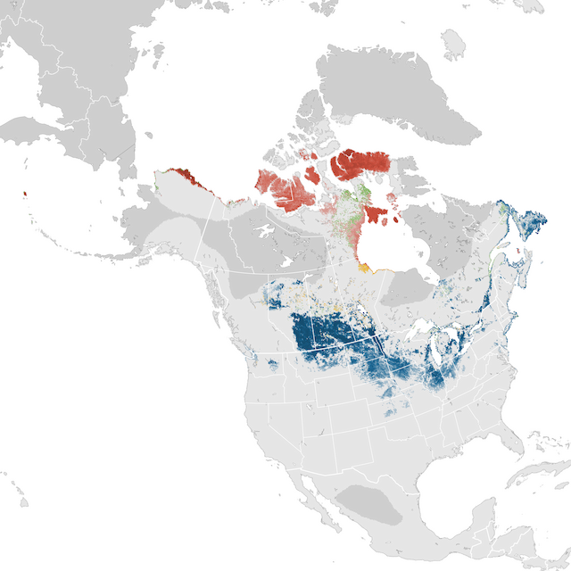 Mapa abundance