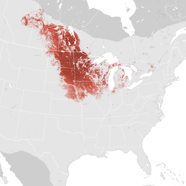 Abundance Map
