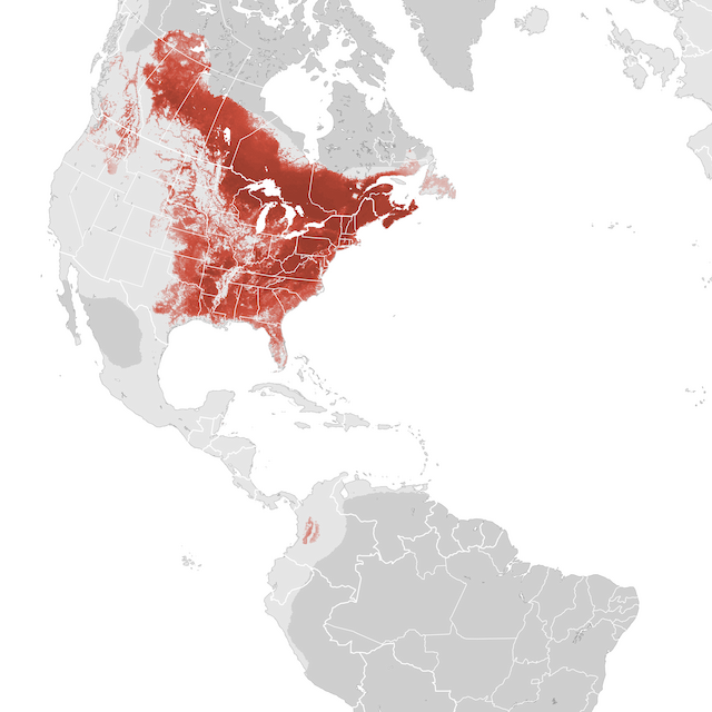 Abundance Map