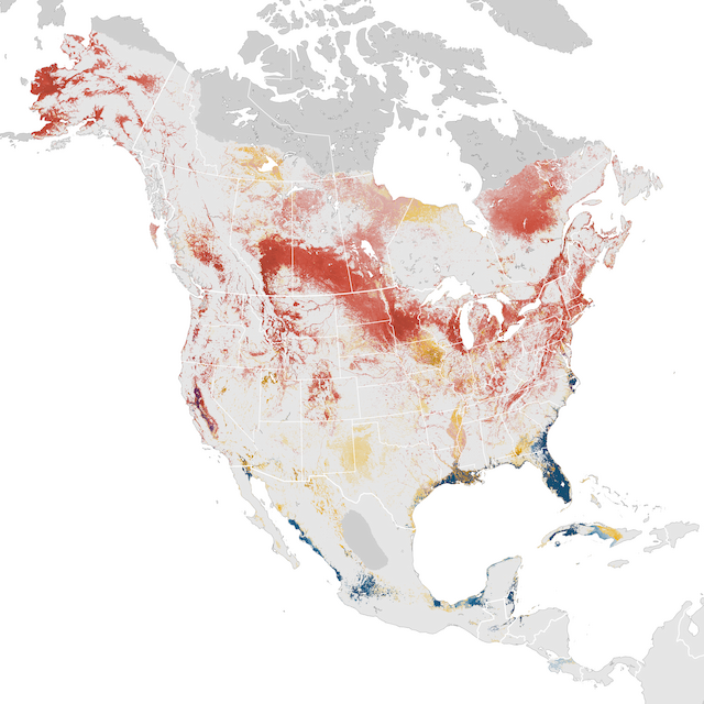 Abundance Map