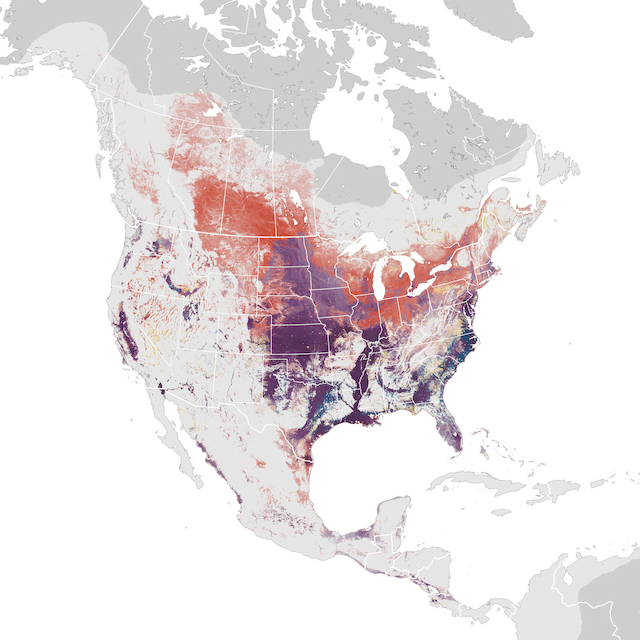 Abundance Map