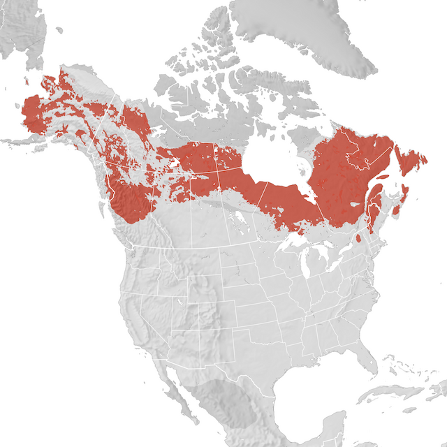 Range Map