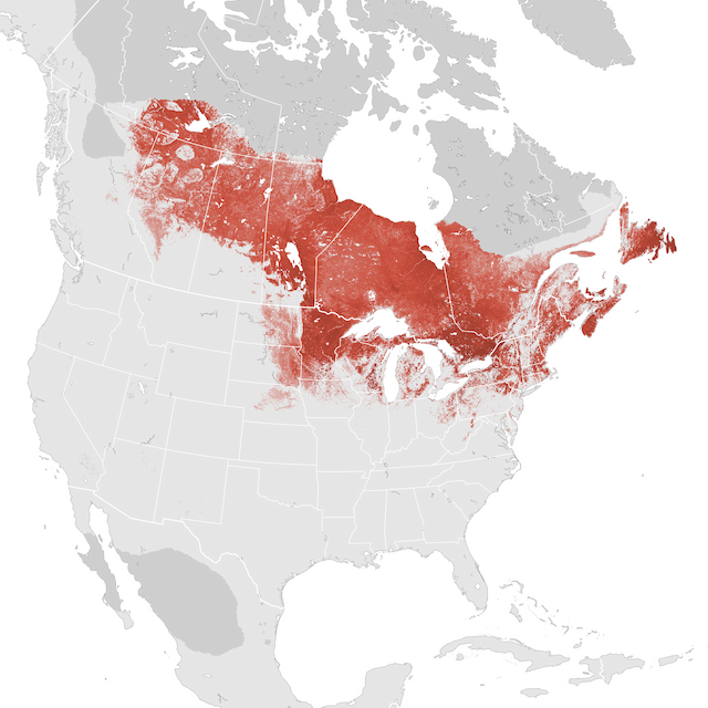Abundance Map