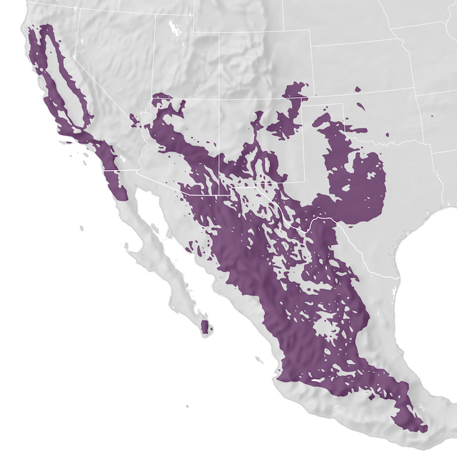 Range Map