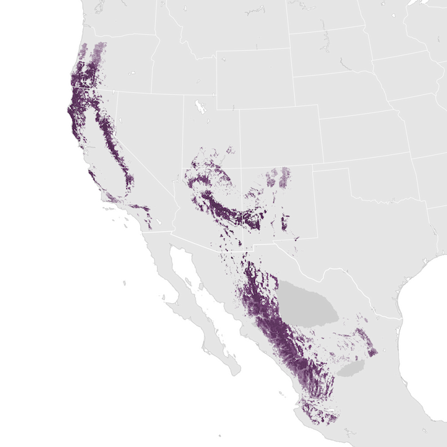 Abundance Map