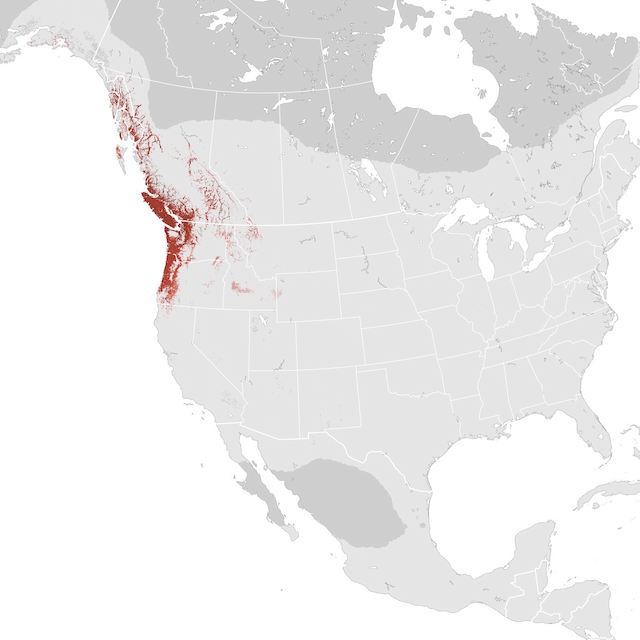 Abundance Map