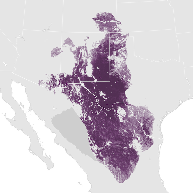Abundance Map