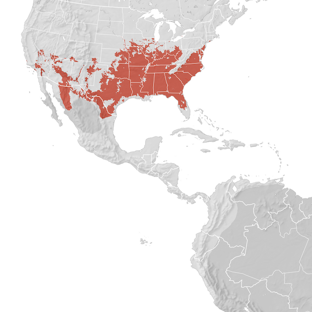 Range Map