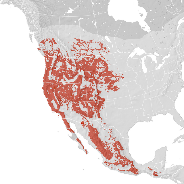 Range Map