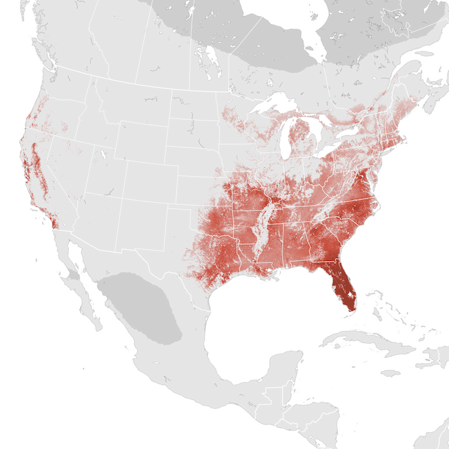 Abundance Map
