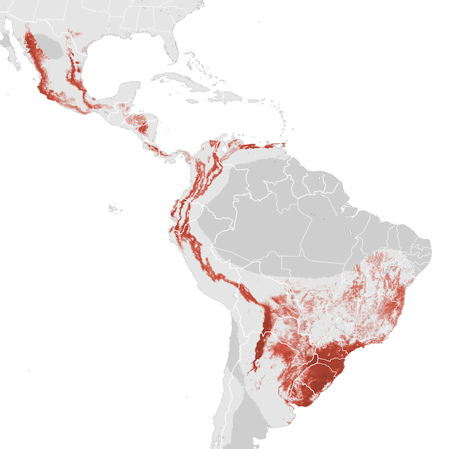 Abundance Map