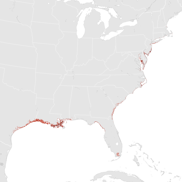Abundance Map