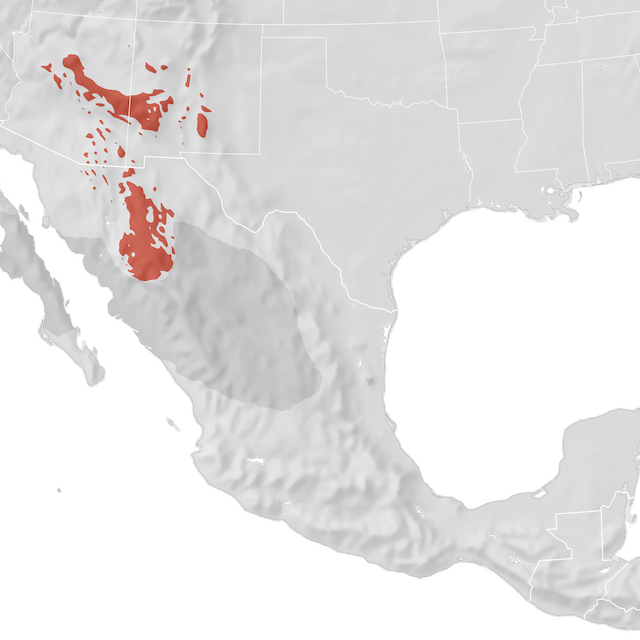Range Map
