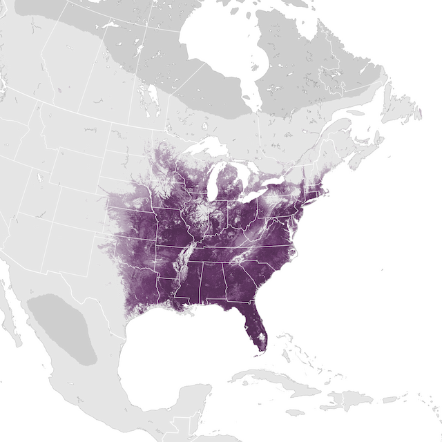 Abundance Map