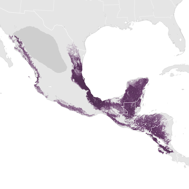 Abundance Map