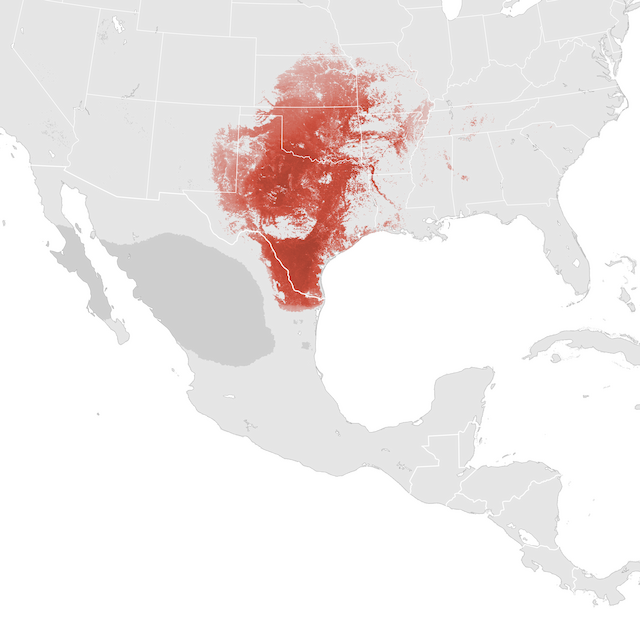 Abundance Map