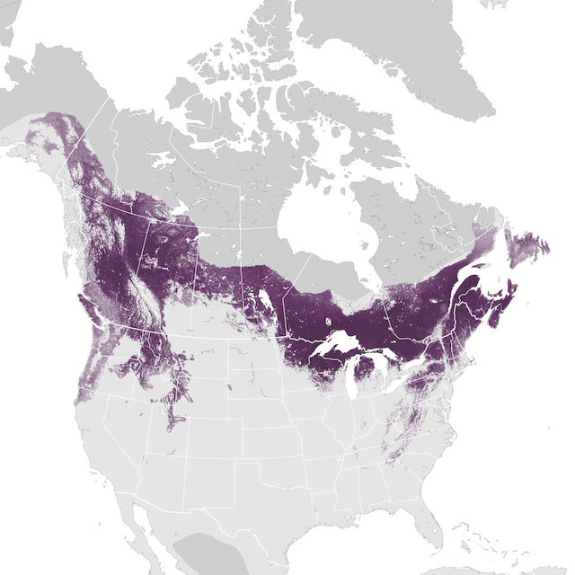 Abundance Map