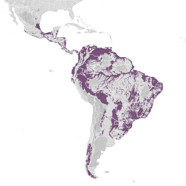 Range Map