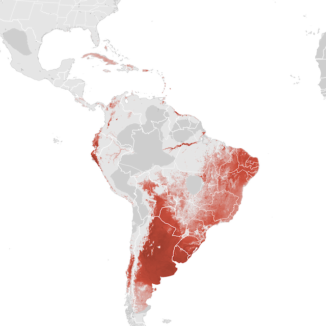 Abundance Map