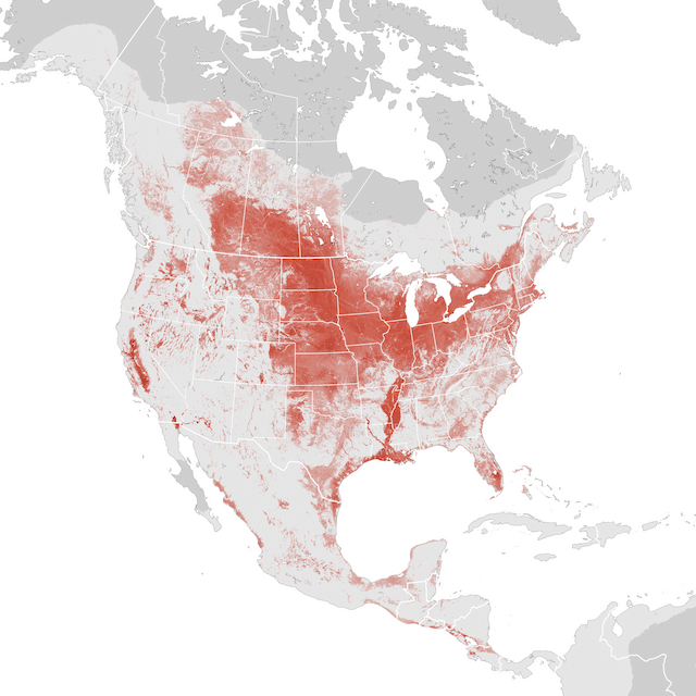 Abundance Map