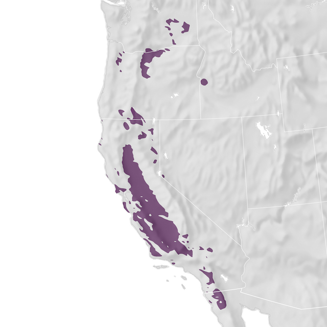 Range Map