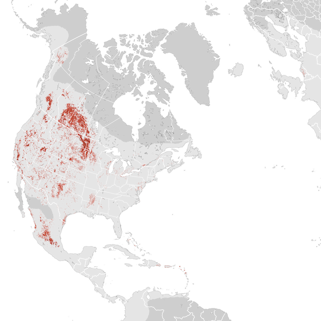 Abundance Map