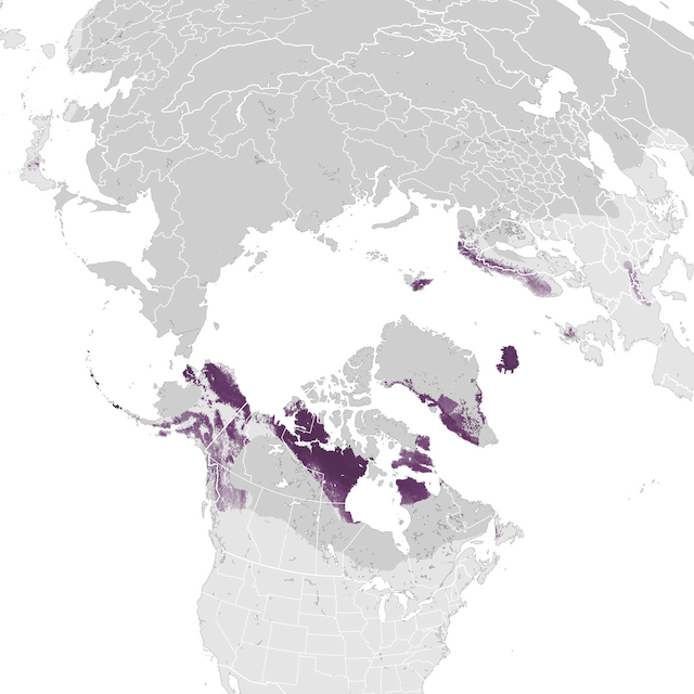 Abundance Map