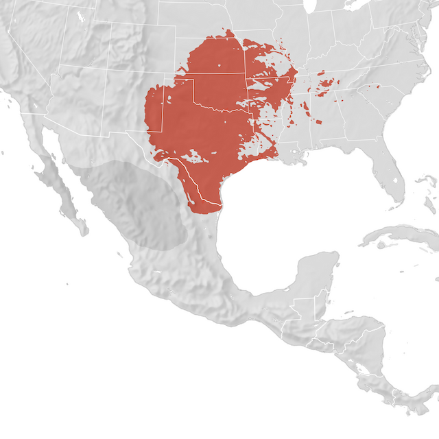 Range Map