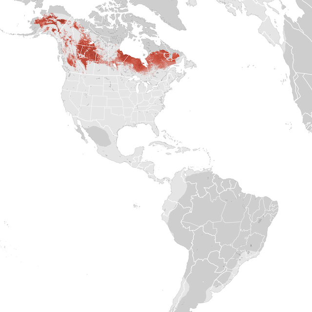 Abundance Map